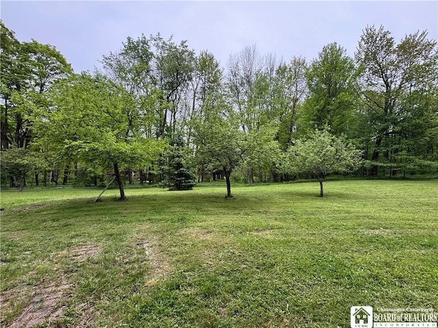151 Chipmonk Rd, Allegany, NY 14753 - view of grassy yard