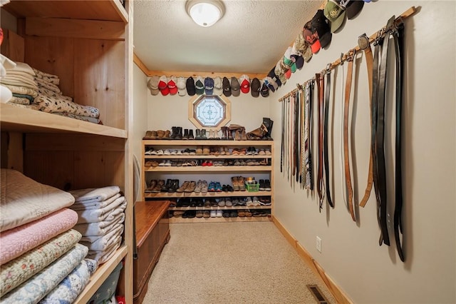 679 Galleon Dr, Webster, NY 14580 - walk in closet featuring carpet flooring