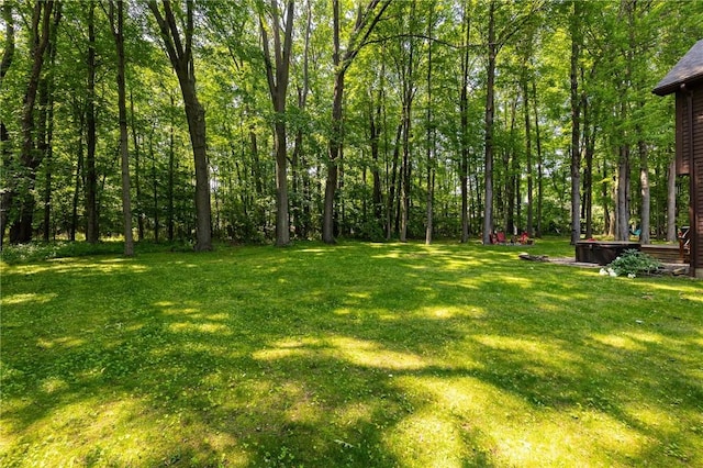 679 Galleon Dr, Webster, NY 14580 - view of grassy yard