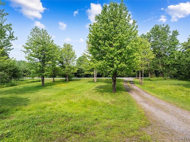 10066 Point Rock Rd, Lee, NY 13440 - view of grassy yard with driveway