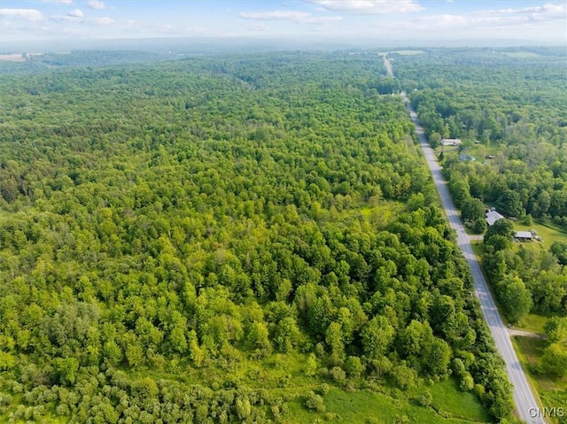 10066 Point Rock Rd, Lee, NY 13440 - drone / aerial view of a heavily wooded area