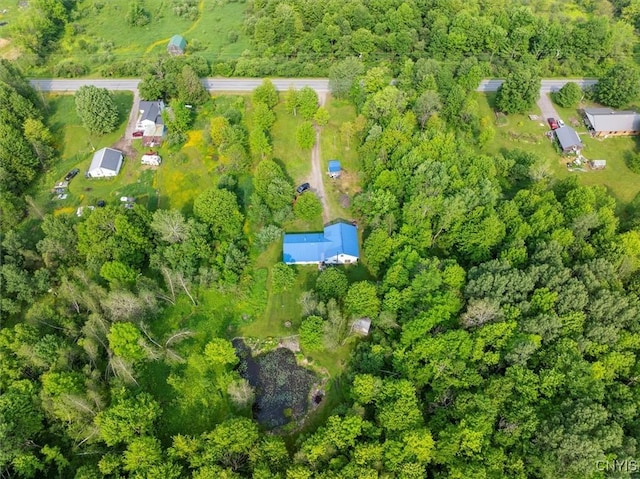 10066 Point Rock Rd, Lee, NY 13440 - aerial view of property's location