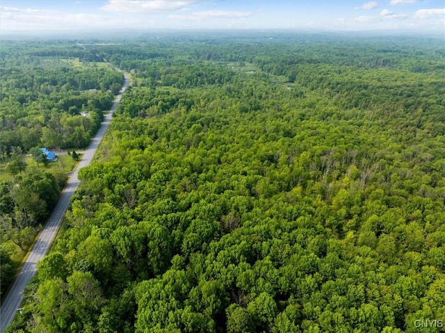 10066 Point Rock Rd, Lee, NY 13440 - bird's eye view of a heavily wooded area