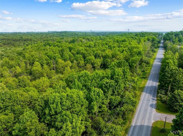 10066 Point Rock Rd, Lee, NY 13440 - aerial view of a forest