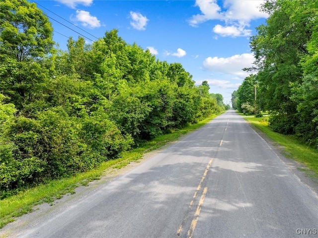 10066 Point Rock Rd, Lee, NY 13440 - view of asphalt road