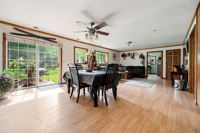 10066 Point Rock Rd, Lee, NY 13440 - dining area featuring a ceiling fan, ornamental molding, and light wood finished floors