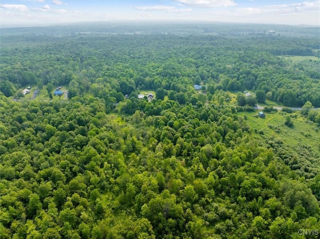 10066 Point Rock Rd, Lee, NY 13440 - aerial view of a forest