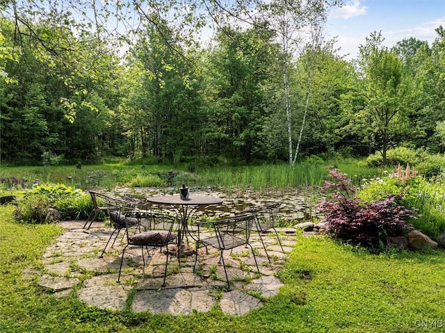 10066 Point Rock Rd, Lee, NY 13440 - view of yard with a forest view