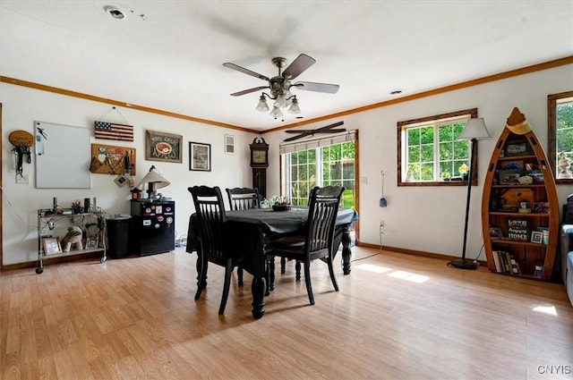 10066 Point Rock Rd, Lee, NY 13440 - dining area featuring a ceiling fan, plenty of natural light, light wood finished floors, and ornamental molding
