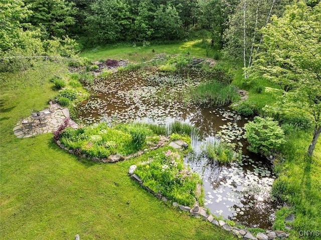 10066 Point Rock Rd, Lee, NY 13440 - view of green lawn with a small pond and a wooded view