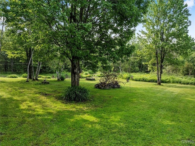 10066 Point Rock Rd, Lee, NY 13440 - view of grassy yard