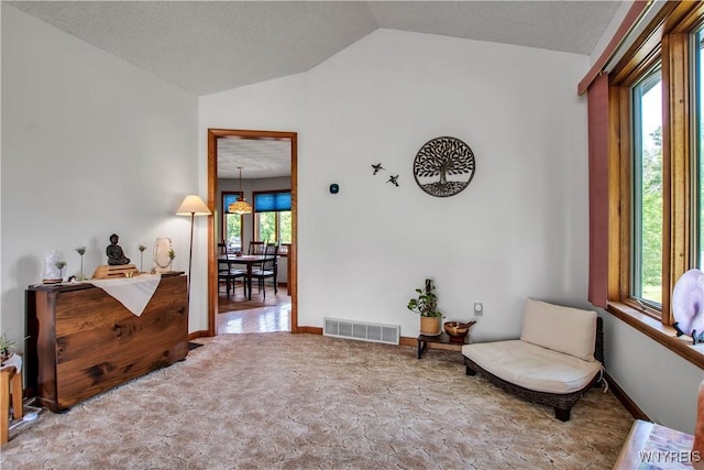 3851 Upper Mountain Rd, Cambria, NY 14132 - sitting room featuring lofted ceiling and carpet floors