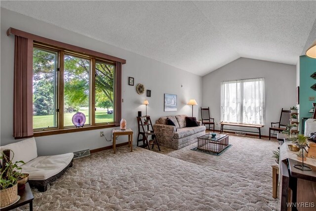 3851 Upper Mountain Rd, Cambria, NY 14132 - carpeted living room featuring vaulted ceiling and a textured ceiling
