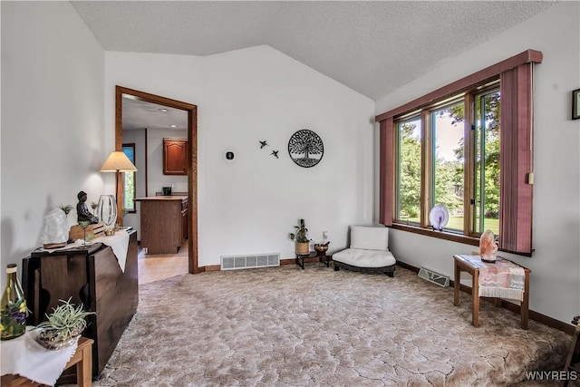 3851 Upper Mountain Rd, Cambria, NY 14132 - sitting room featuring lofted ceiling, carpet, and a textured ceiling