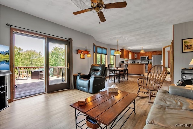 3851 Upper Mountain Rd, Cambria, NY 14132 - living room featuring light wood-type flooring and ceiling fan