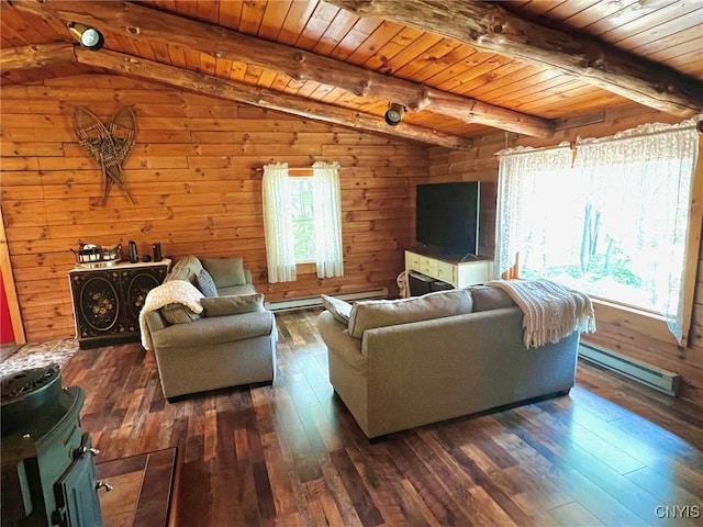 13 Popple Hill Rd, Fowler, NY 13642 - living room with baseboard heating, wood ceiling, dark wood-style flooring, wood walls, and a wood stove