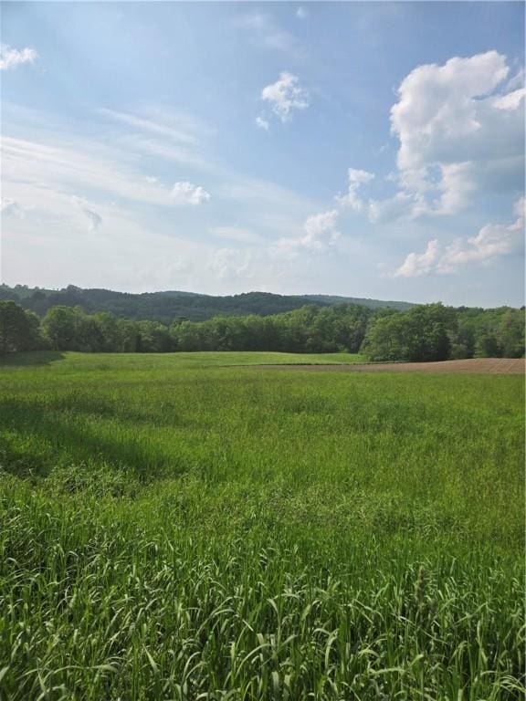 0 Backus Rd, New Lisbon, NY 13810 - photo 1