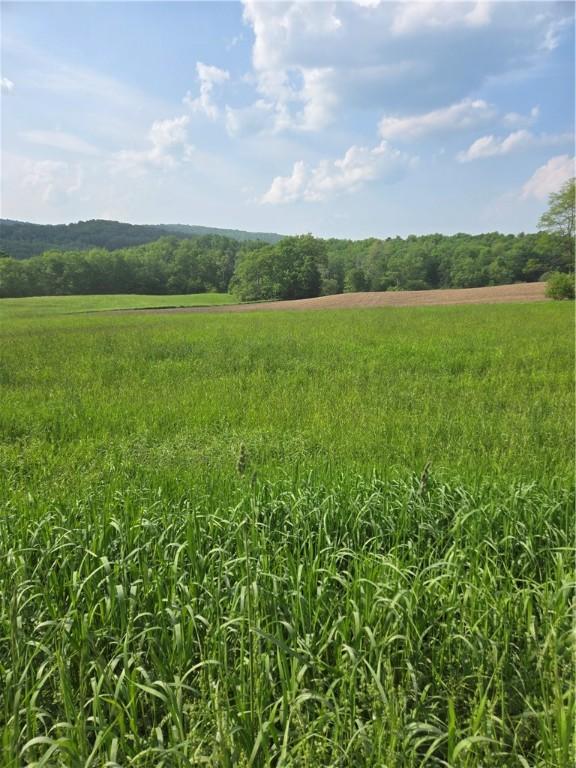 0 Backus Rd, New Lisbon, NY 13810 - photo 2