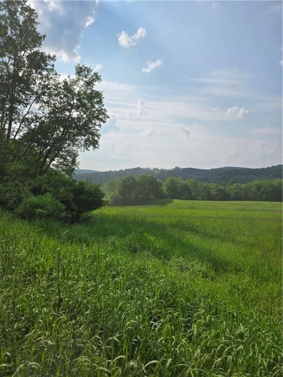 0 Backus Rd, New Lisbon, NY 13810 - photo 3