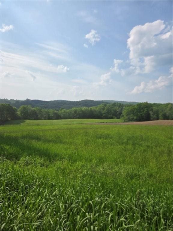 0 Backus Rd, New Lisbon, NY 13810 - photo 4