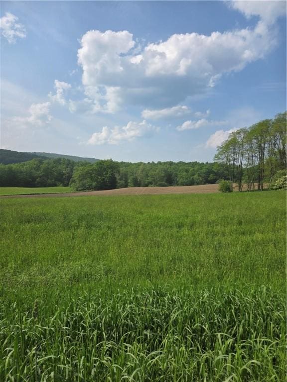 0 Backus Rd, New Lisbon, NY 13810 - photo 5