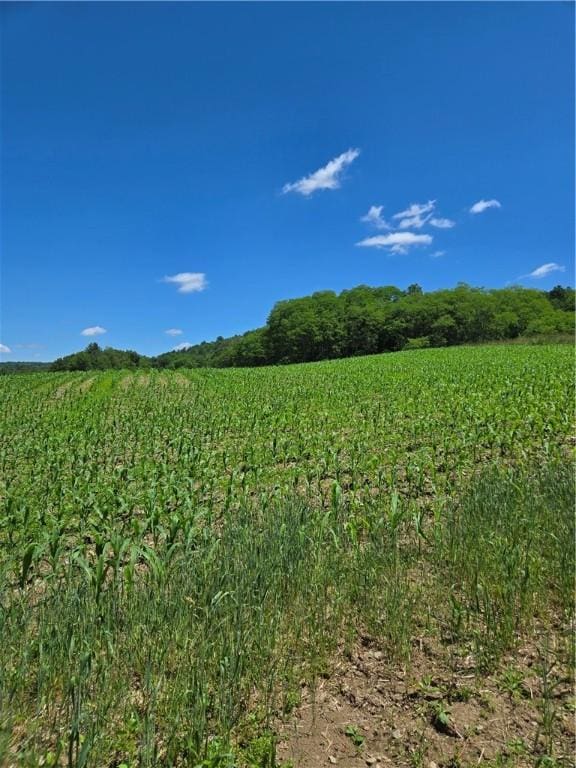 0 Backus Rd, New Lisbon, NY 13810 - photo 6
