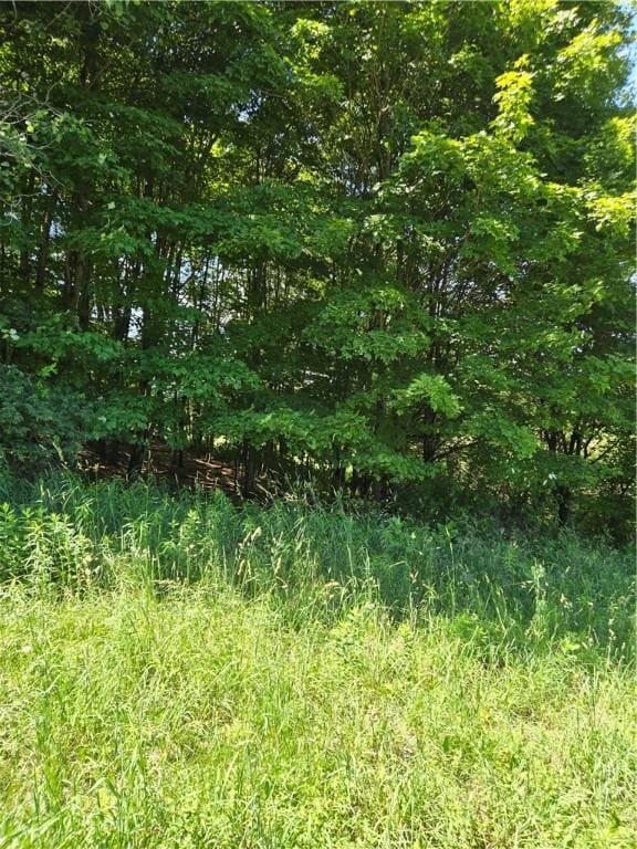0 Backus Rd, New Lisbon, NY 13810 - photo 7