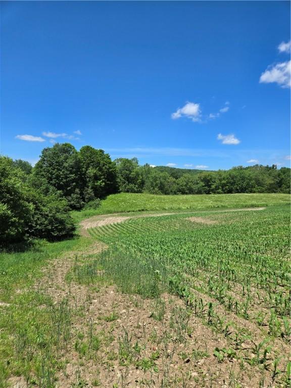 0 Backus Rd, New Lisbon, NY 13810 - photo 8
