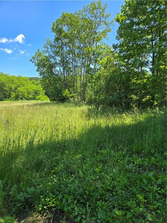 0 Backus Rd, New Lisbon, NY 13810 - photo 10
