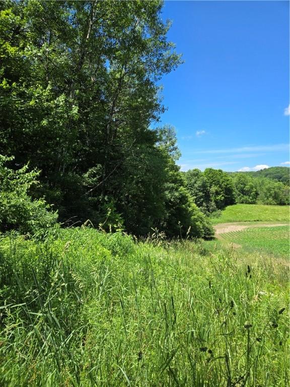 0 Backus Rd, New Lisbon, NY 13810 - photo 12