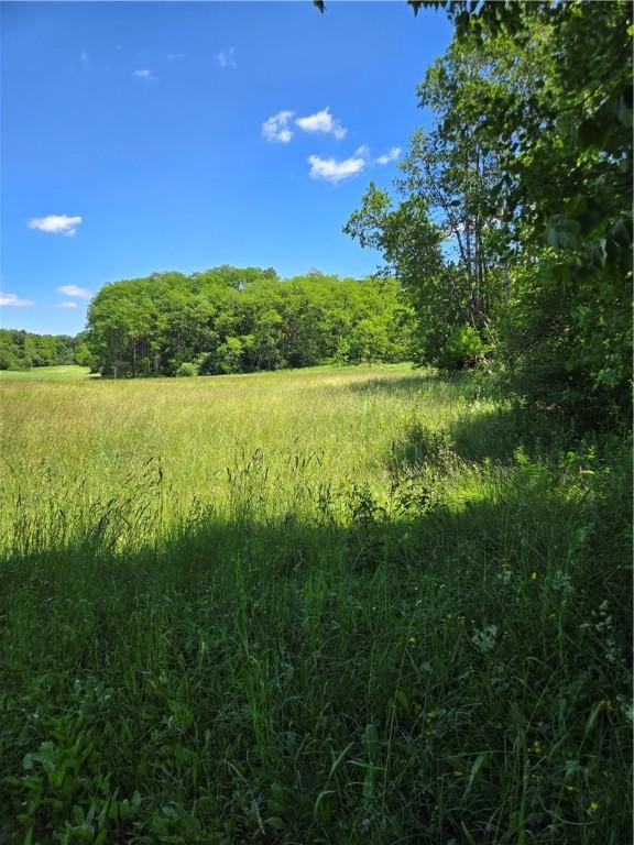 0 Backus Rd, New Lisbon, NY 13810 - photo 13