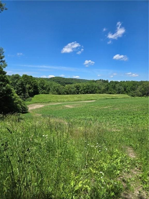 0 Backus Rd, New Lisbon, NY 13810 - photo 14