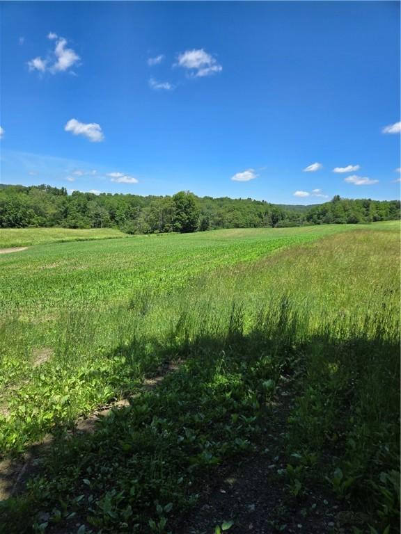 0 Backus Rd, New Lisbon, NY 13810 - photo 15