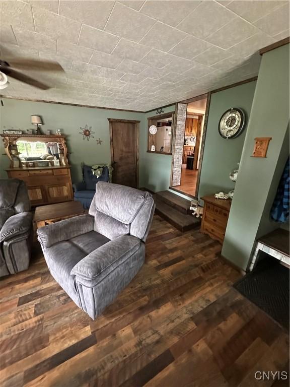 14309 Pearl St, Diana, NY 13648 - living area featuring wood-type flooring and a ceiling fan