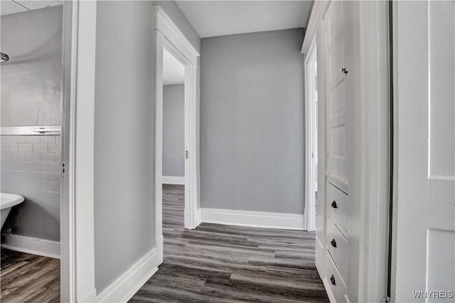 110 Weyand Ave, Buffalo, NY 14210 - corridor with dark wood-type flooring and baseboards