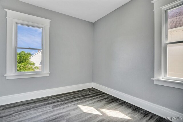 110 Weyand Ave, Buffalo, NY 14210 - spare room featuring plenty of natural light and dark wood-type flooring