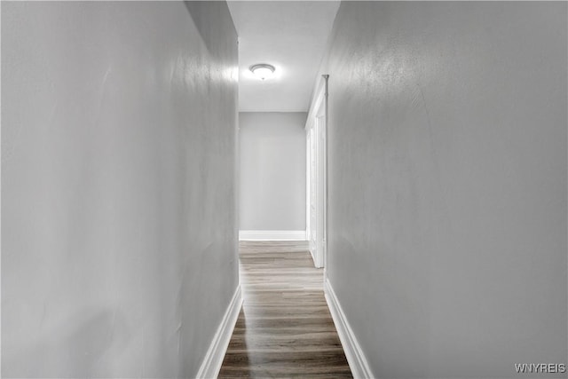 110 Weyand Ave, Buffalo, NY 14210 - hall featuring dark wood-style flooring and baseboards