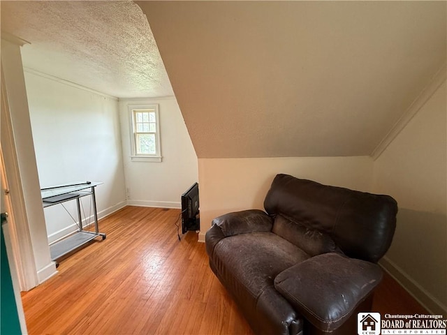 67 Harriet St, Allegany, NY 14706 - living area featuring light wood-style floors and a textured ceiling