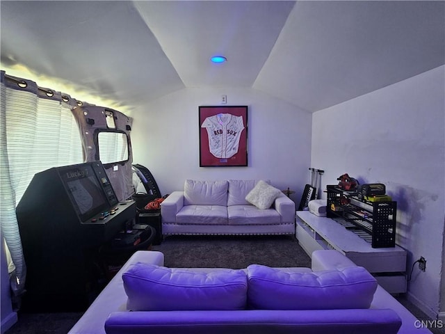 6 Bryant St, Utica, NY 13502 - cinema with lofted ceiling and carpet flooring