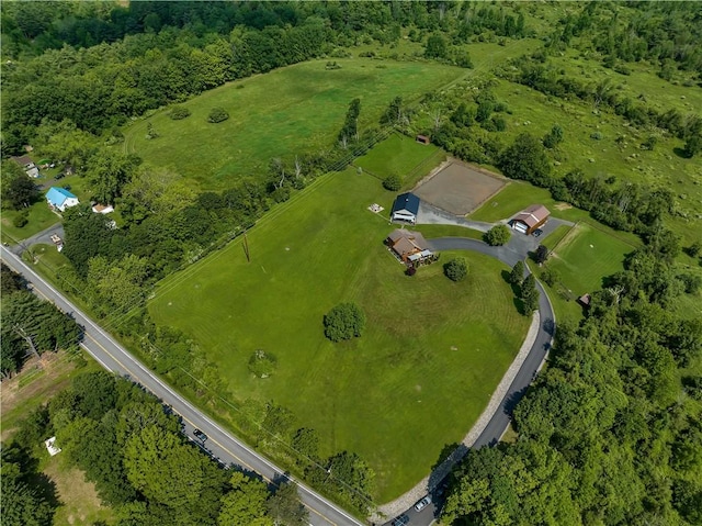5600 State Route 81, Greenville, NY 12083 - aerial view of property's location featuring rural landscape