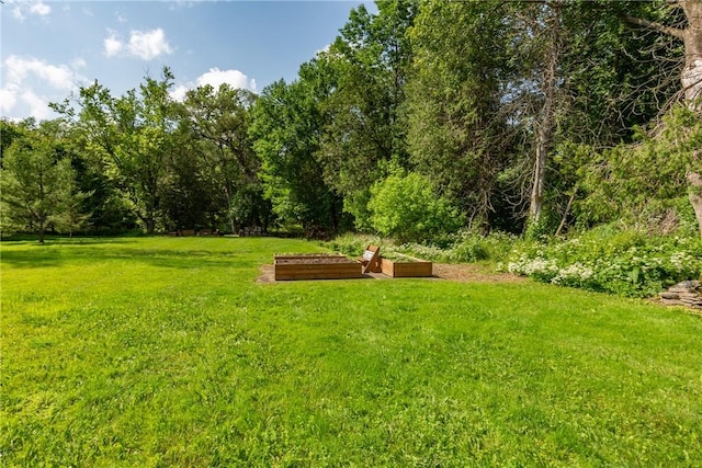 7689 State Highway 80, Springfield, NY 13468 - view of green lawn featuring a vegetable garden
