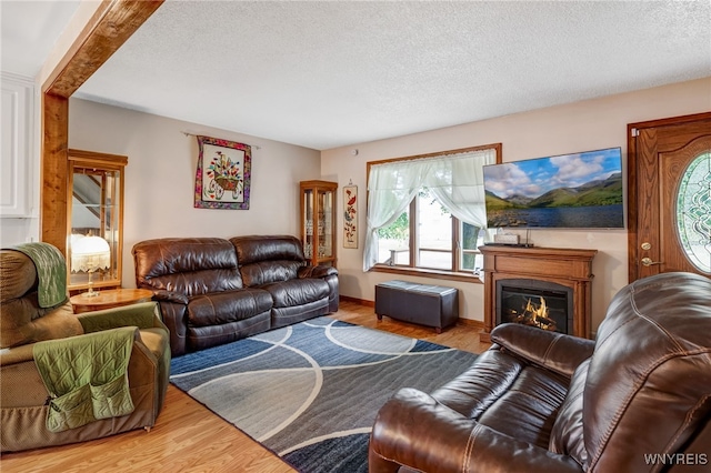 3317 D St, Niagara Falls, NY 14303 - living room featuring a textured ceiling, wood finished floors, and a glass covered fireplace