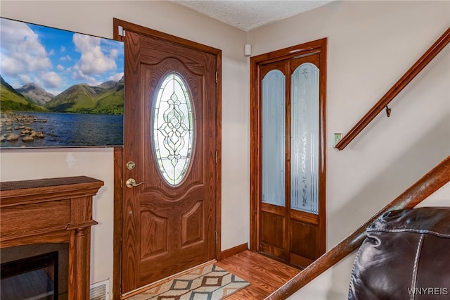 3317 D St, Niagara Falls, NY 14303 - foyer entrance featuring wood finished floors and a glass covered fireplace