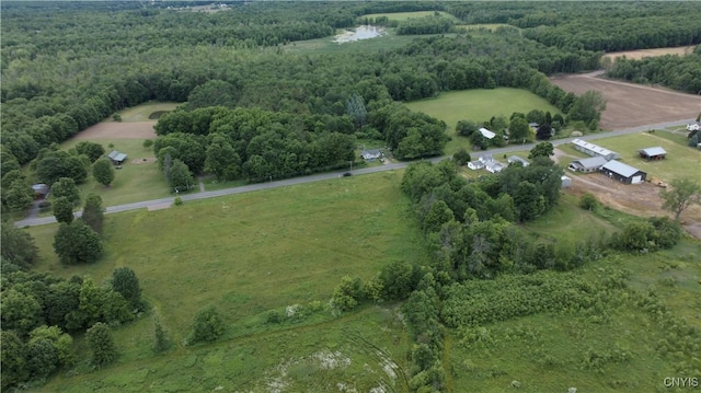 L1 County Route 7, Hannibal, NY 13074 - photo 2