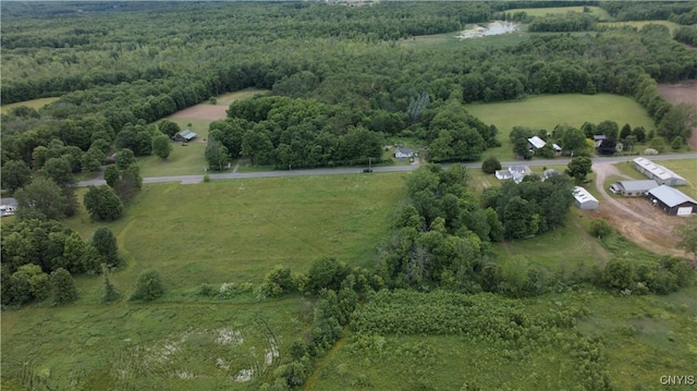 L1 County Route 7, Hannibal, NY 13074 - photo 4