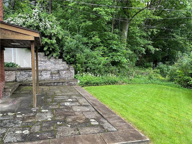 7 Orchard Pl, Bradford-City, PA 16701 - view of green lawn with a patio area