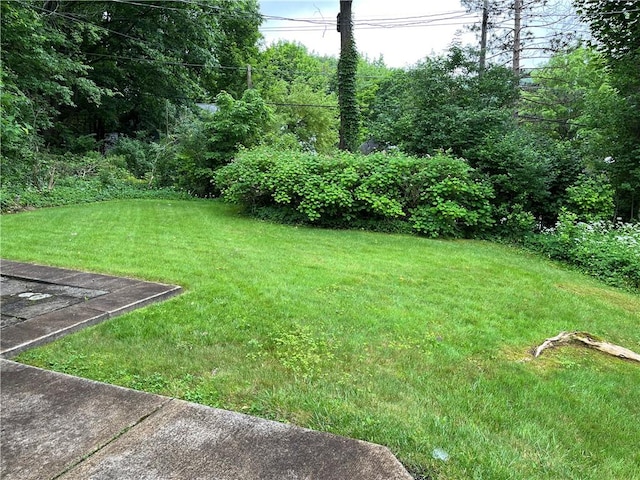 7 Orchard Pl, Bradford-City, PA 16701 - view of green lawn