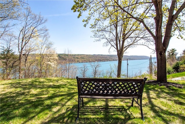 16353 W Lake Rd, Pulteney, NY 14418 - view of green lawn with a water view