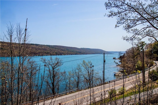 16353 W Lake Rd, Pulteney, NY 14418 - water view