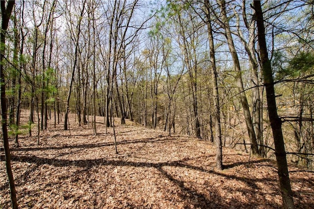16353 W Lake Rd, Pulteney, NY 14418 - view of tree filled area